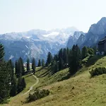 14 Edelweiss Apartment Gosau