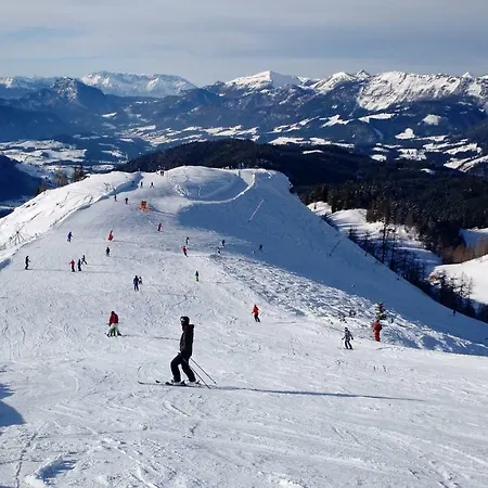 14 Edelweiss * Gosau