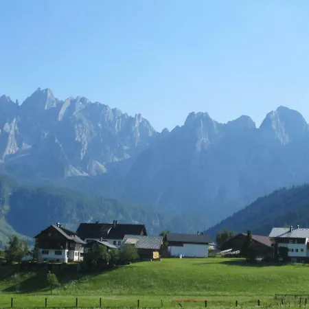 14 Edelweiss