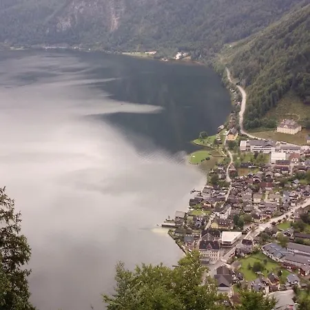 14 Edelweiss * Гозау