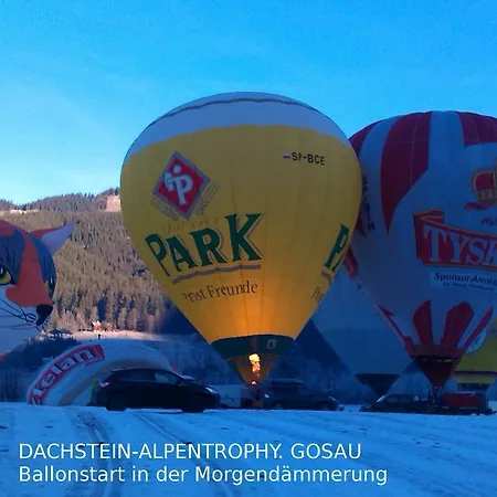 Appartement 14 Edelweiss Gosau