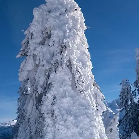 14 Edelweiss Apartamento *