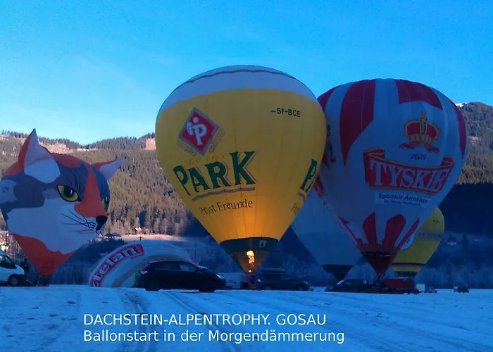 Lägenhet 14 Edelweiss Gosau