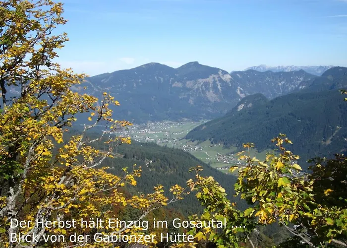 14 Edelweiss Daire *