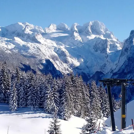 14 Edelweiss Gosau